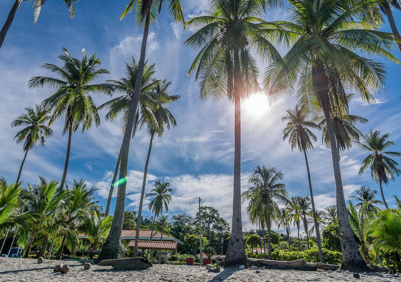 Hotel Vườn quốc gia Manuel Antonio Ngoại thất bức ảnh