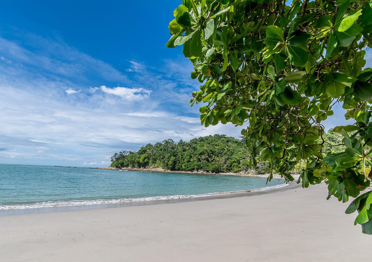 Hotel Vườn quốc gia Manuel Antonio Ngoại thất bức ảnh